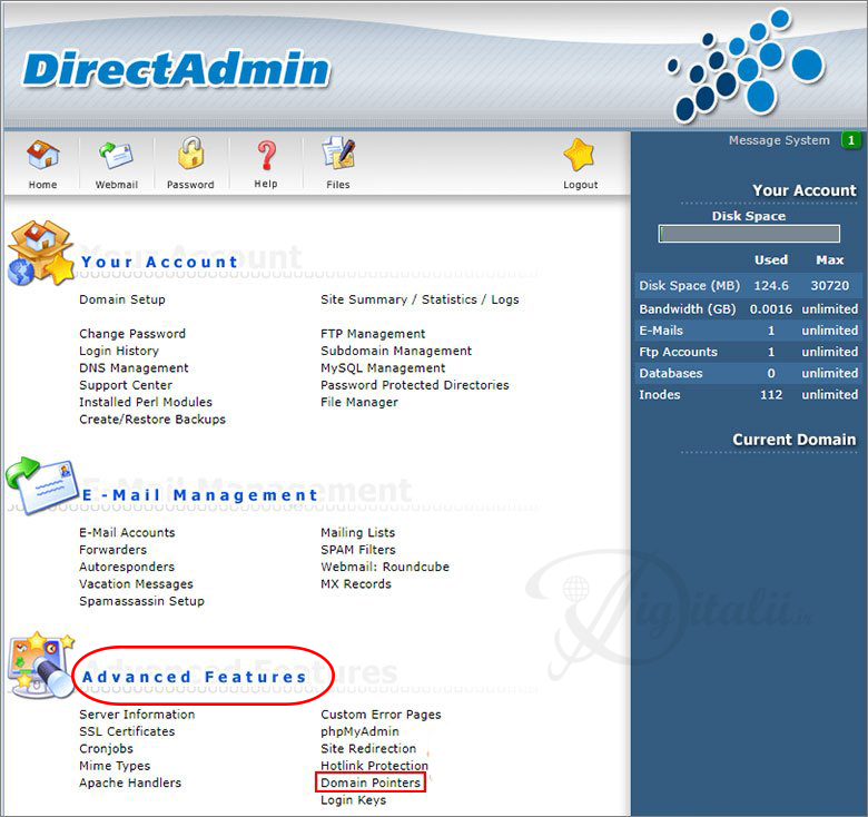 آموزش پارک کردن دامنه روی هاست دایرکت ادمین - آموزش کار با alias در Direct Admin - خدمات طراحی سایت دیجیتالی