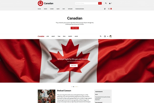 فرآیند طراحی سایت در کانادا - شغل توسعه دهنده وب در کانادا